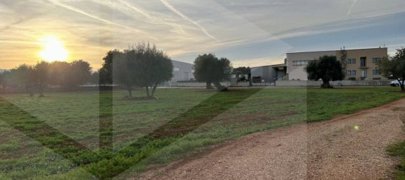 Terreno en Fasano, Italy No. 21656 6