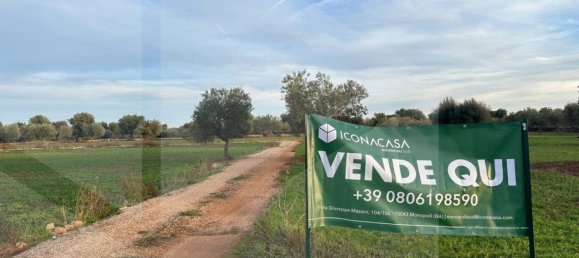 Terreno en Fasano, Italy No. 21656 3