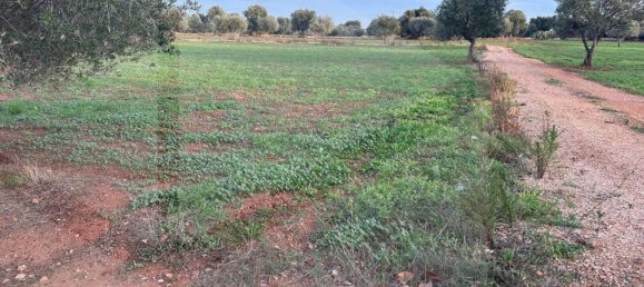 Terreno en Fasano, Italy No. 21656 8