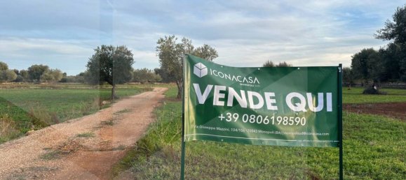 Terreno en Fasano, Italy No. 21656 7