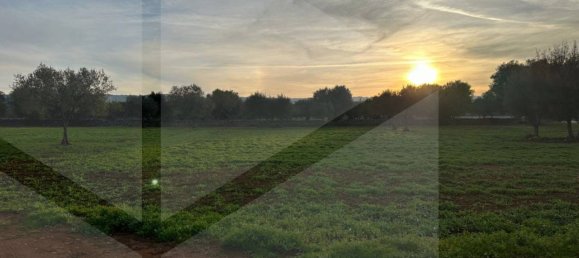 Terreno en Fasano, Italy No. 21656 11