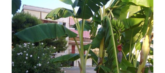 2 rooms Apartment in Nocera Terinese, Italy No. 253469 3