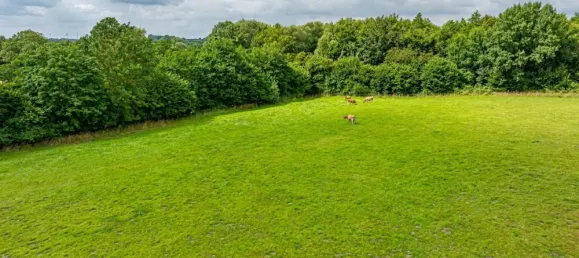 11-Zimmer Bauernhof in Schleswig-Flensburg, Germany, Nr. 227333 12