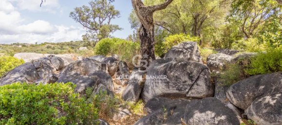 Villa T4 em Zonza, France N.º 297955 30