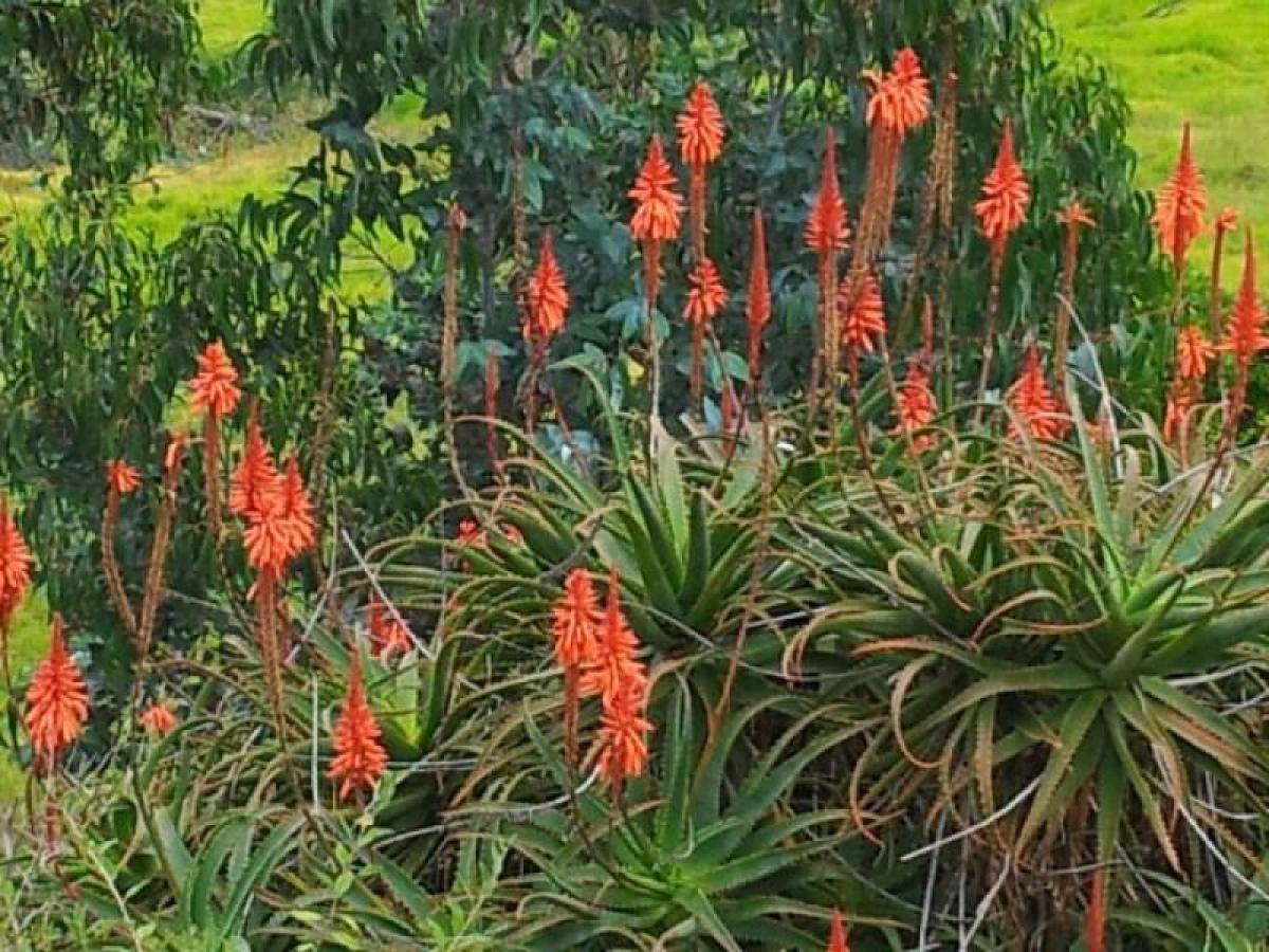 3 غرف نوم منزل في Cundinamarca, Colombia رقم 1325