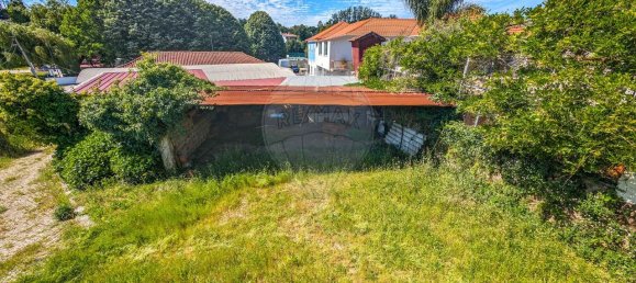 5 Schlafzimmer Haus in Santa Maria da Feira, Portugal, Nr. 185696 36