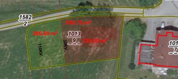 Terrain à Goming, Austria No. 167046 6