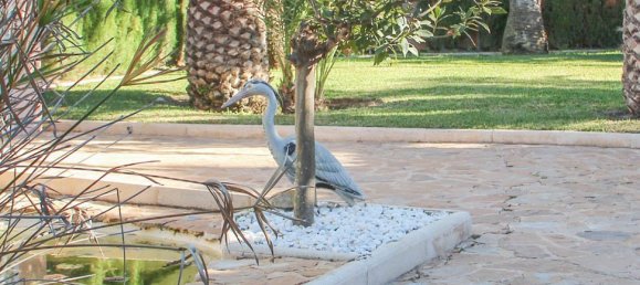 7 chambres Villa à Benidorm, Spain No. 10286 5