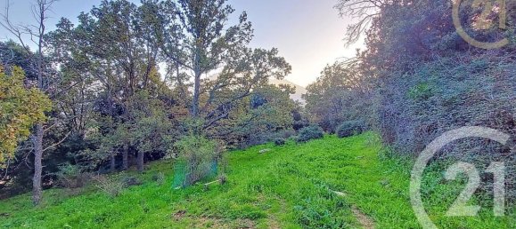 Terreno em Olmi-Cappella, France 1819 m² N.º 217071 3