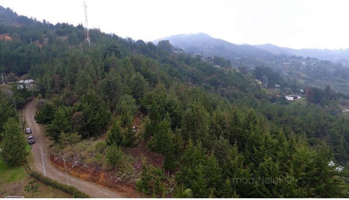 Terreno em Antioquia, Colombia N.º 484