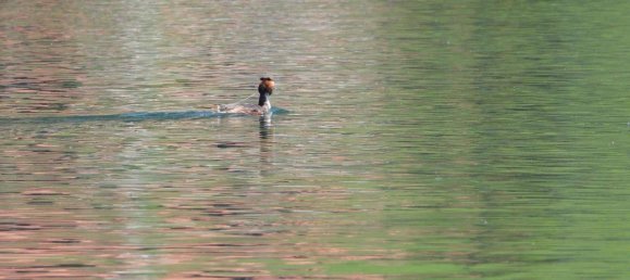Estacionamento em Weissensee, Austria N.º 251286 7