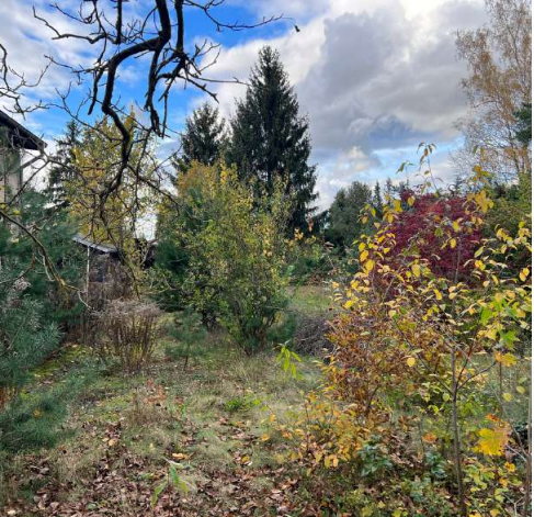 Grundstück in Dahme-Spreewald, Germany, Nr. 369796