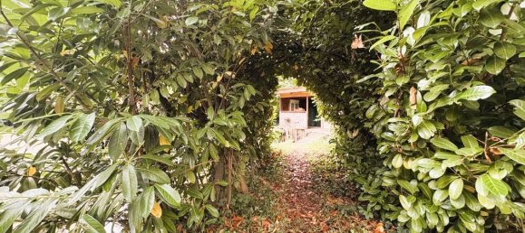 Земельный участок в Эна, Франция № 363414 2