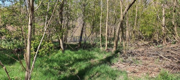 Terreno de 1 habitación en Cirimido, Italy No. 125183 14