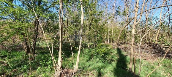 Terreno de 1 habitación en Cirimido, Italy No. 125183 15