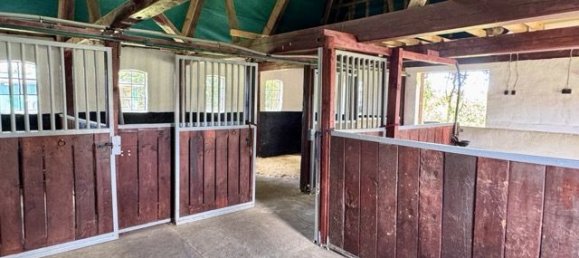 1 Schlafzimmer Bauernhof in Dithmarschen, Germany, Nr. 285867 9