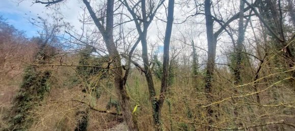 Вилла с 8 комнатами в Гаджо Монтано, Италия № 72167 40