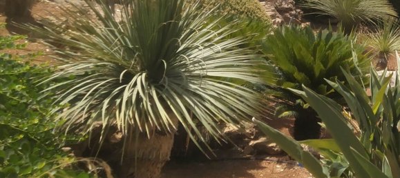 7 غرف نوم فيلا في Erice, Italy رقم 275542 8