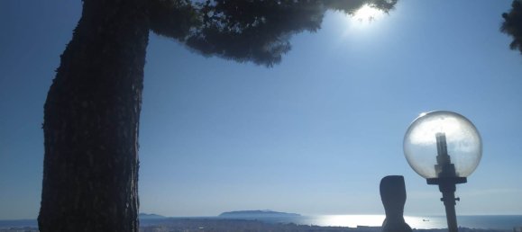 7 غرف نوم فيلا في Erice, Italy رقم 275542 28