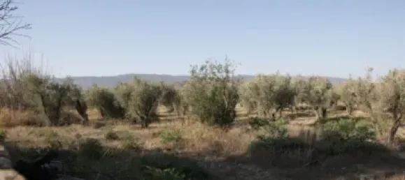 Terreno en Almería, Spain No. 79923 16
