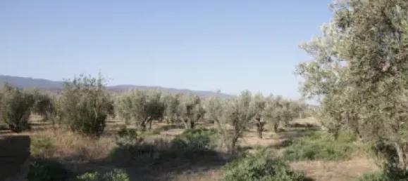 Terreno en Almería, Spain No. 79923 17