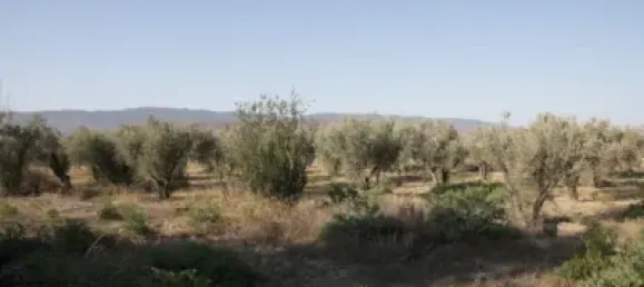 Terreno en Almería, Spain No. 79923 18