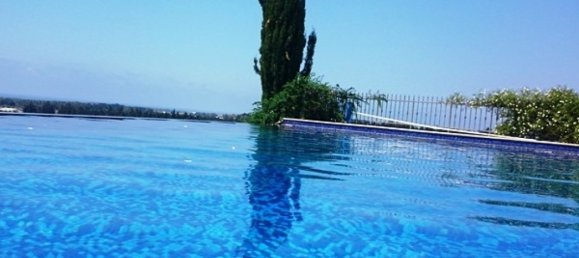Studio in Paphos, Cyprus, Nr. 24851 2