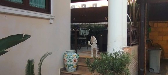 4 bedrooms Villa in Trentola Ducenta, Italy No. 288739 4