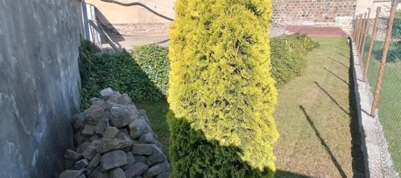 1 chambre Maison à Salzlandkreis, Germany No. 218160 4