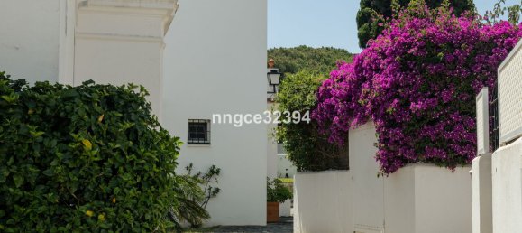 2 غرف نوم بانتهاوس في Estepona, Spain رقم 134181 4