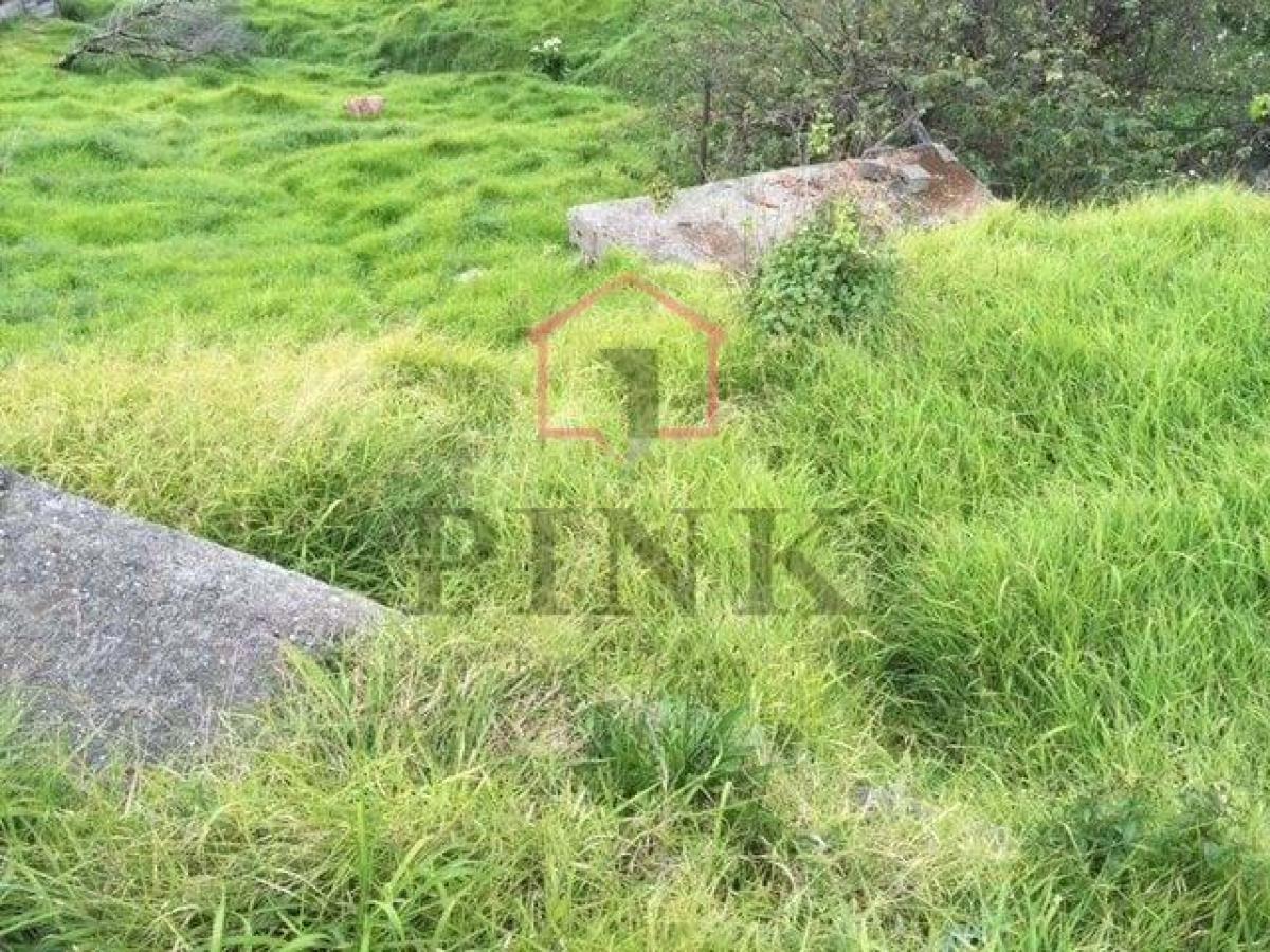 Grundstück in Machico, Portugal, Nr. 2047