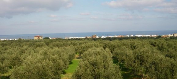 Propiedad comercial de 4 dormitorios en Heraklion, Greece No. 56532 5