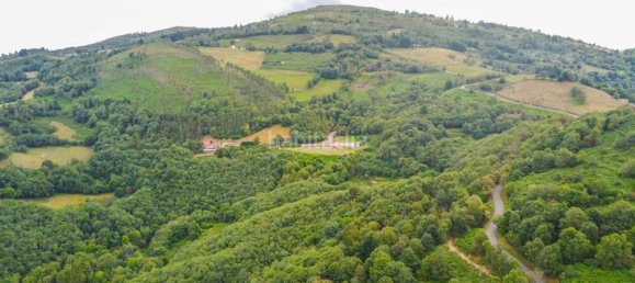 1 bedroom House in Mieres, Spain No. 141341 37