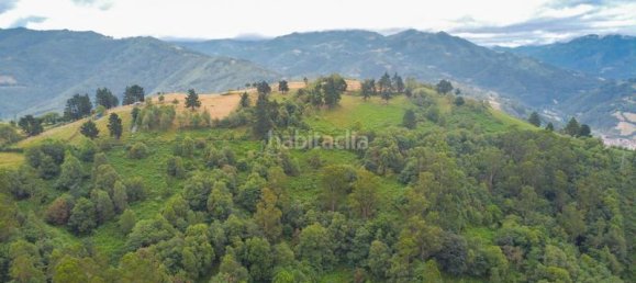 1 bedroom House in Mieres, Spain No. 141341 35