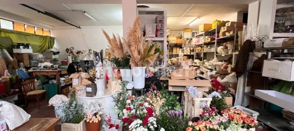 Almacén en Sant'Angelo Lodigiano, Italy 298 m² No. 112044 8