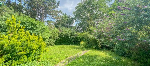 Land in Vienna, Austria No. 125813 2