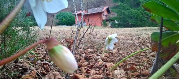 Casa de 3 dormitorios en Onore, Italy No. 253016 3