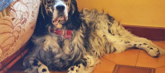 8 bedrooms Villa in Rubiana, Italy No. 339865 13