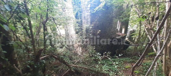 2 bedrooms House in Bracca, Italy No. 105628 24