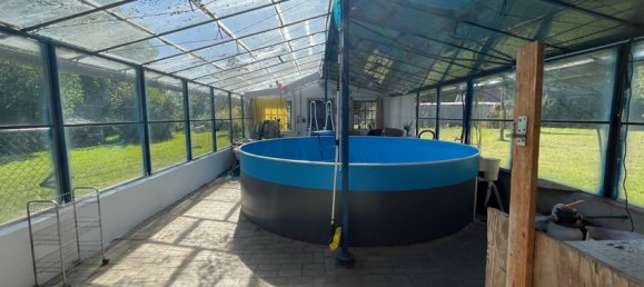 6 rooms Farm in Ludwigslust-Parchim, Germany No. 297576 27