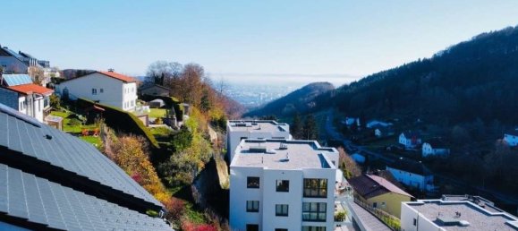 Земельный участок в Лихтенберг, Австрия № 144759 9