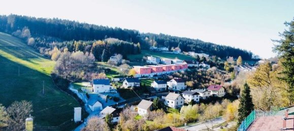 Земельный участок в Лихтенберг, Австрия № 144759 5