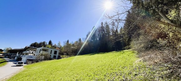  Land in Tulfes, Austria No. 217465 4