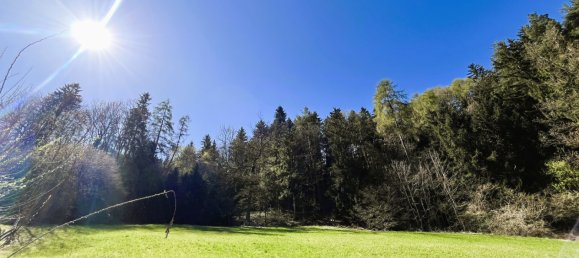  Land in Tulfes, Austria No. 217465 3