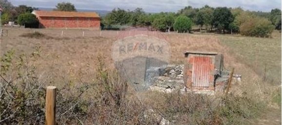 4 bedrooms House in Juncal, Portugal No. 26399 7