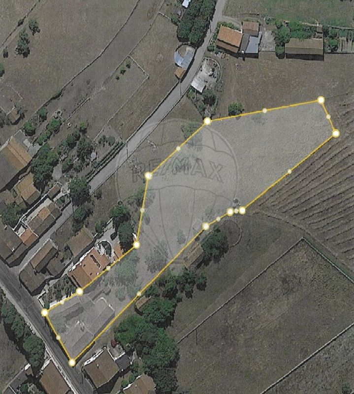 4 bedrooms House in Juncal, Portugal No. 26399