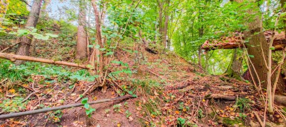 Terreno em Lambach, Austria 410 m² N.º 164869 11