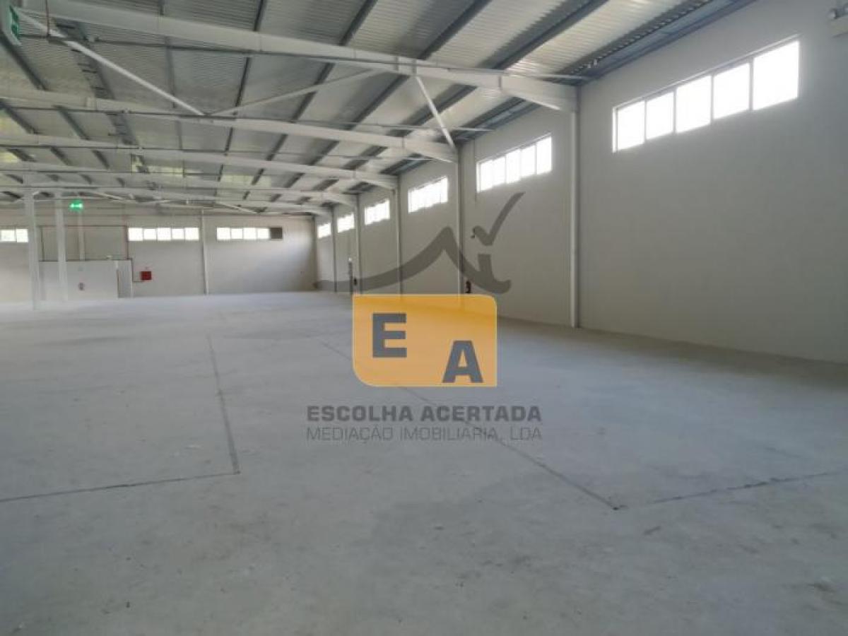 3550m² Factory in Braga, Portugal No. 8211