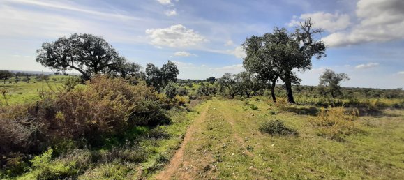 3 bedrooms Castles in Alcacer do Sal, Portugal No. 156612 8