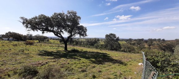 3 bedrooms Castles in Alcacer do Sal, Portugal No. 156612 5